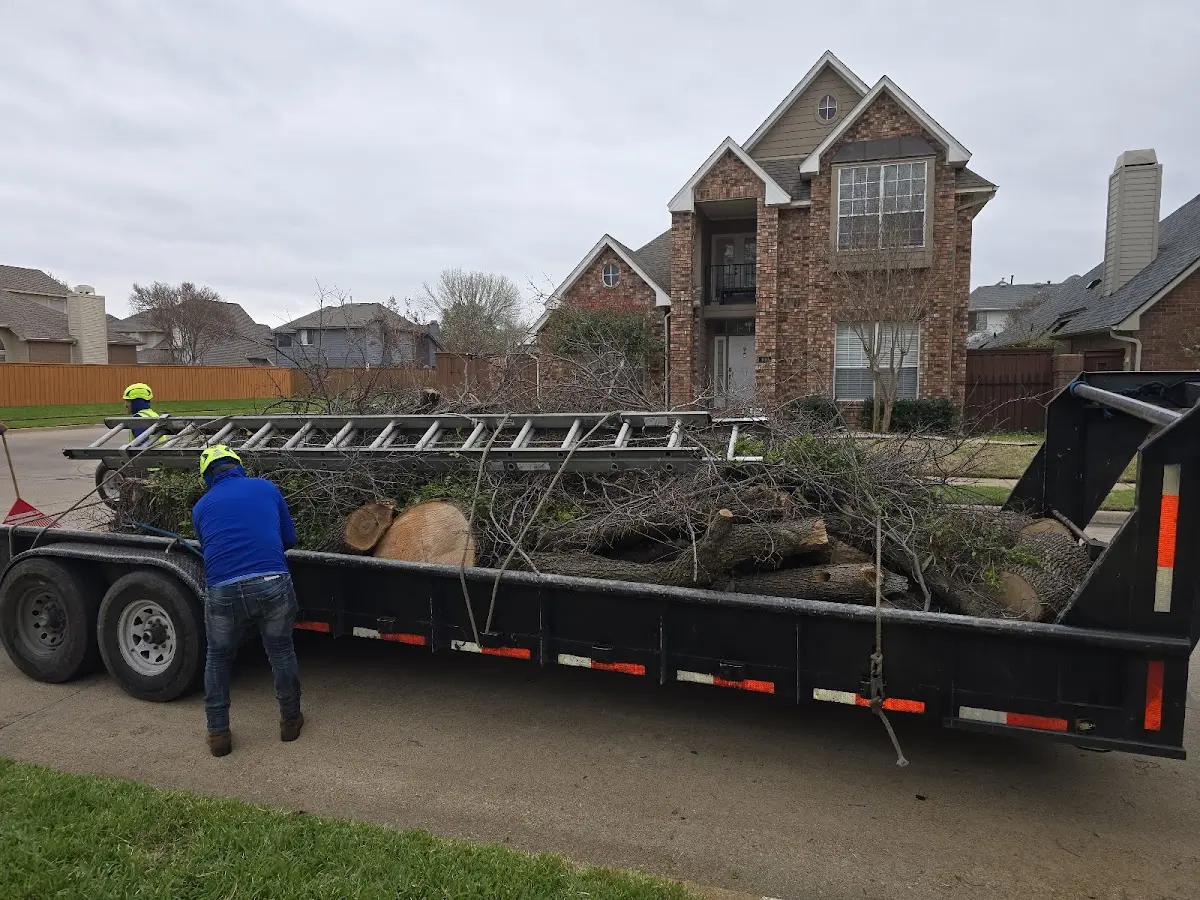 Expert Crown Reduction with proper safety equipment in Park Falls